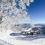 Design Retreat Schneeberg - Singlestudio, Gartenstudio, Whirlpool-suite Oder Maisonette-suite *
