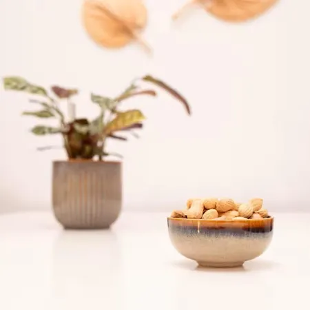 Design Retreat Schneeberg - Singlestudio, Gartenstudio, Whirlpool-suite Oder Maisonette-suite Apartmán Puchberg am Schneeberg