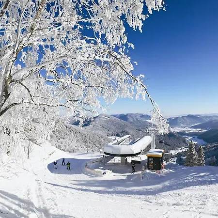 Design Retreat Schneeberg - Singlestudio, Gartenstudio, Whirlpool-apartment Oder Maisonette-suite *