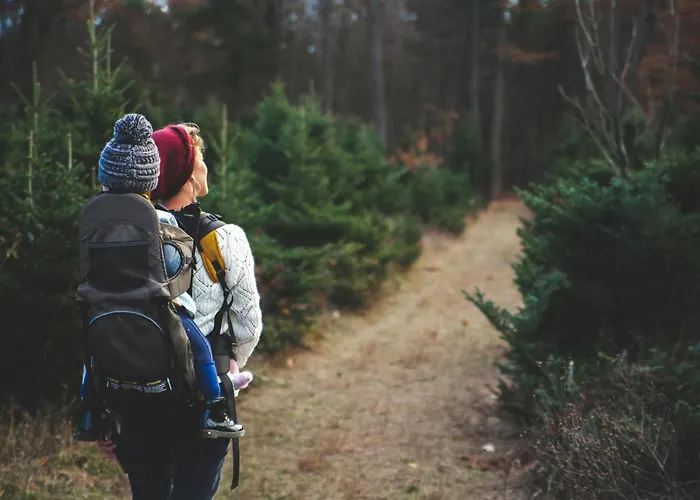 Design Retreat Schneeberg - Singlestudio, Gartenstudio, Whirlpool-suite Oder Maisonette-suite Puchberg am Schneeberg