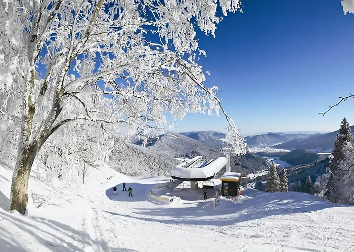 Design Retreat Schneeberg - Singlestudio, Gartenstudio, Whirlpool-suite Oder Maisonette-suite *